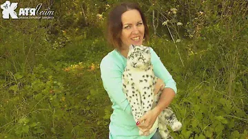 Барс игрушка