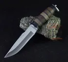 Кизляр Ш 5 Барс