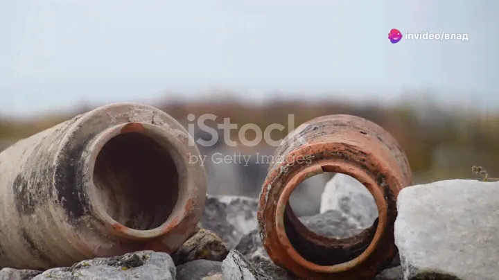 Удивительный Индийский океан: История, обитатели и торговые пути