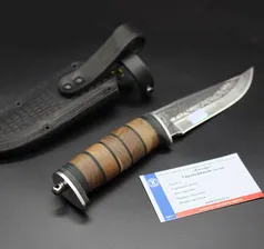 Кизляр Ш 5 Барс рисунок