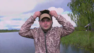 зверобой
