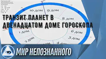 Сапоги барс