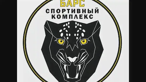 СК Барс vs Динамо первый тайм
