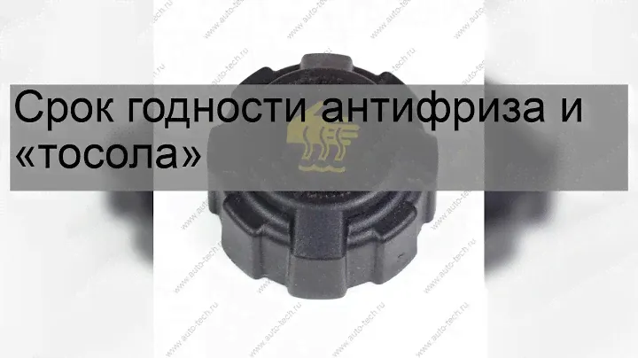 Сапоги барс