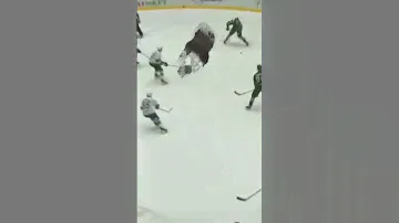 хк барс